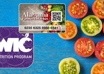 앨라배마주 저소득층 식료품 지원 프로그램 확대