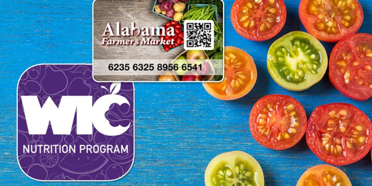 앨라배마주 저소득층 식료품 지원 프로그램 확대