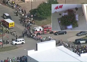 “댈러스 쇼핑몰 총격범 최소 3곳 보안회사서 근무…총기 훈련도 받아”