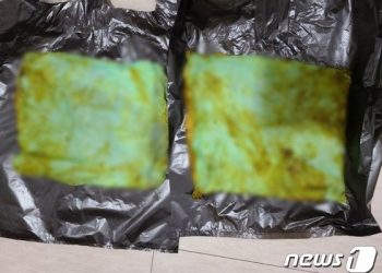 파킨슨환자 항문서 25㎝ 크기 배변매트 4개 나와…60대 간병인 구속