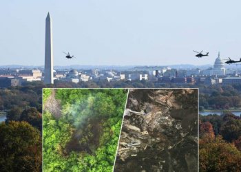 F-16 추격받은 美경비행기 조종사, ‘산소 부족’ 가능성