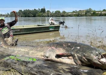 40분 사투 끝 잡았다…’2.85m 메기’ 세계 최고 기록