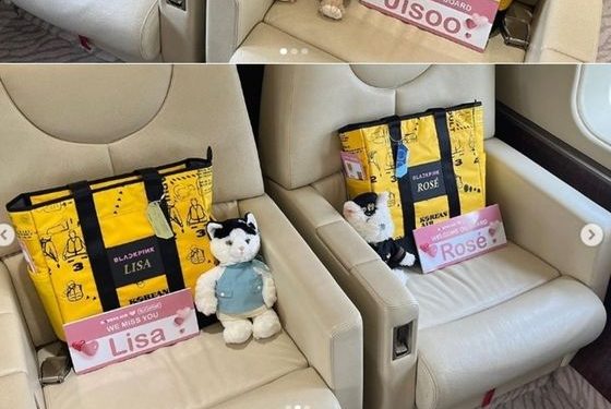 제니는 창가 자리…30시간에 8억, 블랙핑크 전용기 내부 깜짝