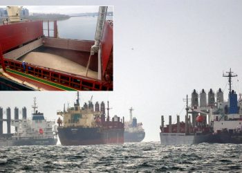 세계 식량안보 또 ‘빨간불’…흑해곡물협정이 뭐길래