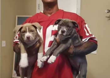 흉기로 여성 살해한 美 남성 체포…페북에 올린 범행 영상에 ‘덜미’