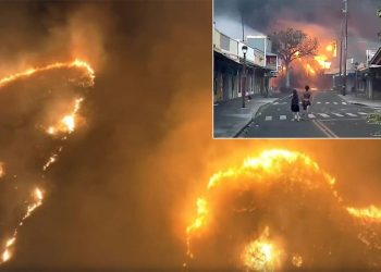 하와이 주지사 “산불 사망자 60명 넘을 수도”