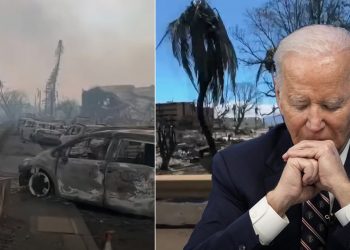 바이든, 오는 21일 하와이 산불 현장 방문