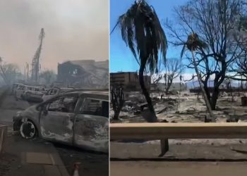 하와이 마우이섬 산불 사망자 100명 넘어서