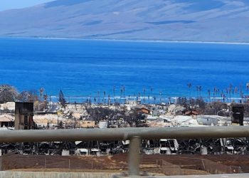 마우이 주민들, 바이든 정부에 뿔났다