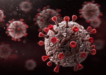 ‘피롤라’ 확진자 한국내 첫 발생…”위험도 말할 단계 아냐”