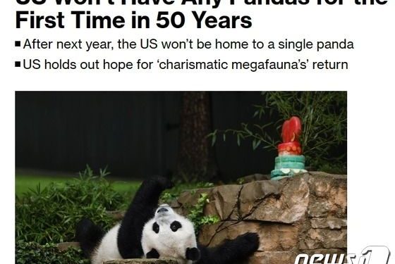 50년 만에 처음으로 미국에서 판다 사라져…미중 관계 현주소