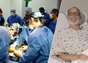 미국서 돼지 심장 이식받은 두 번째 환자, 6주 만에 사망