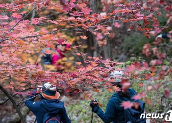산악회서 불륜하는 엄마…”자고 갈게” 자녀에 KTX 예약 요구