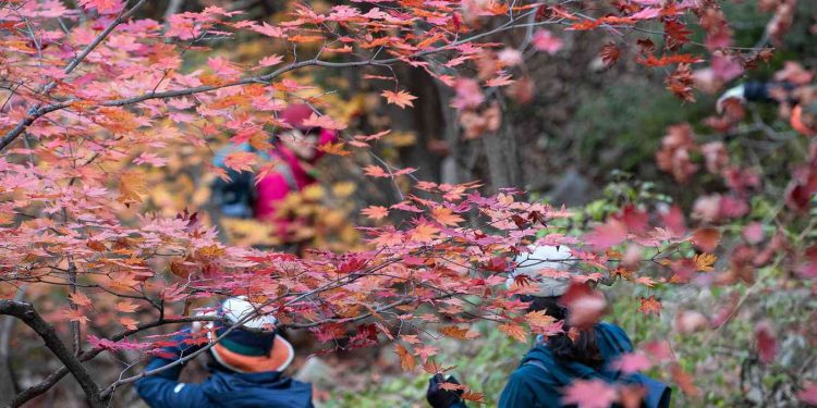 산악회서 불륜하는 엄마…”자고 갈게” 자녀에 KTX 예약 요구