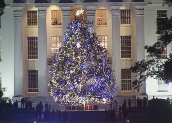 앨라배마 주 크리스마스 트리 점등…역대 최고 높이