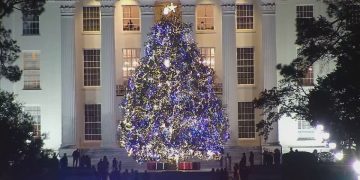 앨라배마 주 크리스마스 트리 점등…역대 최고 높이