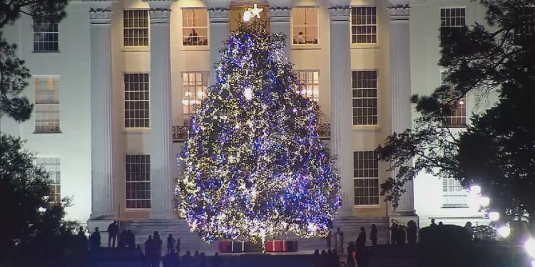 앨라배마 주 크리스마스 트리 점등…역대 최고 높이