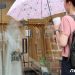“韓 미혼남성 시한폭탄, 곧 터진다…80만명, 韓여성과 결혼 못해”