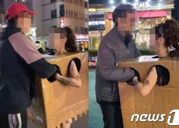 “난 자연산 D컵, 만져 보세요” 홍대 박스녀, 결국 검찰행…공연음란 혐의