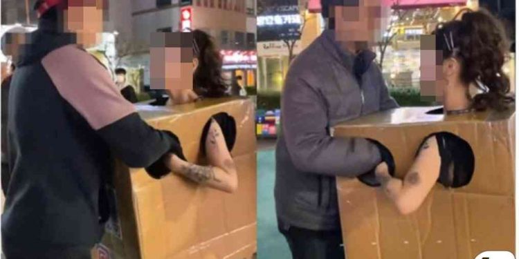 “난 자연산 D컵, 만져 보세요” 홍대 박스녀, 결국 검찰행…공연음란 혐의