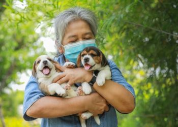 ’38억 유산’ 고양이와 개에게 남긴 노인…”세 자녀, 내가 아플 때 외면”