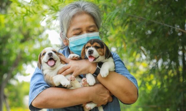 ’38억 유산’ 고양이와 개에게 남긴 노인…”세 자녀, 내가 아플 때 외면”