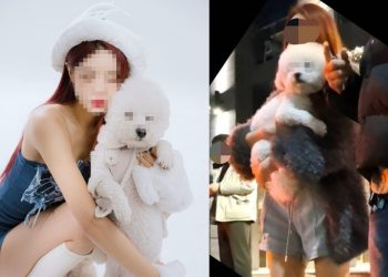 “사망사고 후 개 안은 만취 벤츠녀는 DJ ○○”…온라인 신상 확산→SNS 비공개