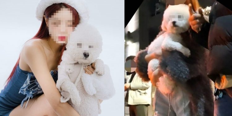 “사망사고 후 개 안은 만취 벤츠녀는 DJ ○○”…온라인 신상 확산→SNS 비공개