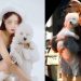 “사망사고 후 개 안은 만취 벤츠녀는 DJ ○○”…온라인 신상 확산→SNS 비공개