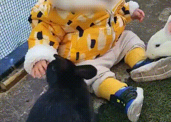 “토끼에 물려 손 잘린 15개월 아이…동물원 측 ‘주의 문구’ 급조”