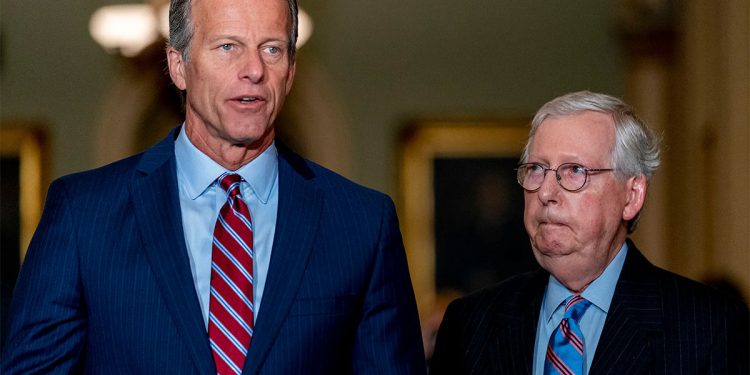 ‘美 공화당 이인자’ 존 툰 상원의원, 트럼프 지지 선언