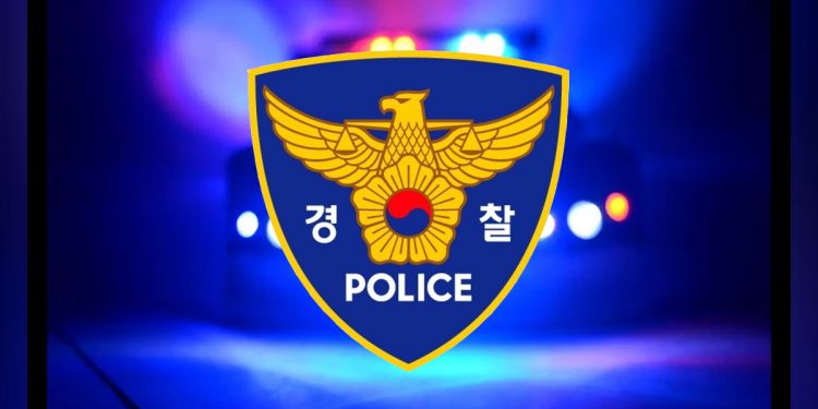 설 연휴 할머니 살해한 20대 손자…누나와 공모 정황