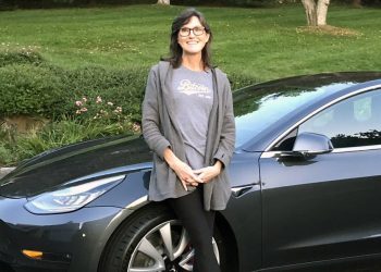 ‘돈나무 언니’는 엔비디아 팔고 테슬라 샀다