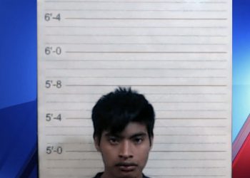 앨라배마 남부, 14세 소녀 장애인 성폭행한 불법이주민 체포