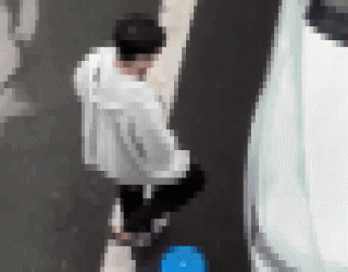 ‘아우디와 성관계’하다 걸린 남성…보닛 올라가 계속 몸 비볐다