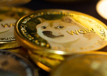 X 결제에 도지 도입 임박, 도지코인 10% 폭등