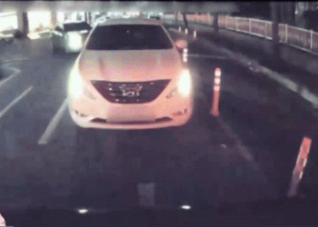 운전 중 여자랑 뽀뽀하다 다리 힘 풀렸나…앞차 그대로 박았다