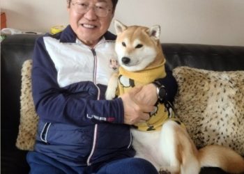 홍준표 ‘개’ 취급한 김경율 “洪, 차기 경쟁자 한동훈 누르려 책임론 반복”