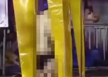 태국 송끄란 축제서 성행위한 韓 남성 2명…행인들 지나가도 ‘아랑곳’