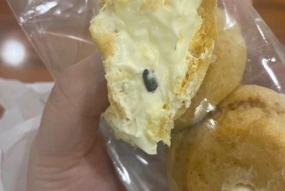 먹던 빵 속 반만 남은 바퀴벌레…항의하자 빵집 사장 “진단서 떼 와” 뻔뻔