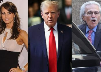 트럼프 ‘성추문 입막음 사건’ 첫 증인 “기사 매수해 묻었다”