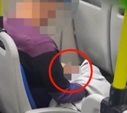 “대낮 버스서 중요 부위 내놓고 음란행위한 그놈…남성들 타자 시치미 뚝”
