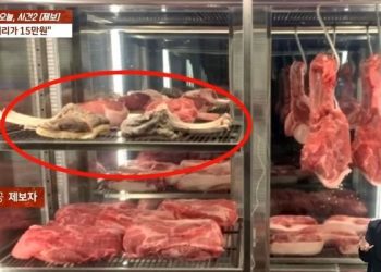 제주 ‘비계’ 흑돼지집 전직원 “손님에 상한 고기 주고, 리뷰 조작” 폭로