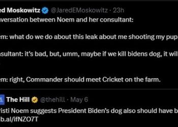 美민주 의원 “김정은과 개고기 먹고 싶나” 글 올렸다가 논란