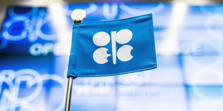 이란 대통령 사망+사우디 국왕 폐렴, OPEC+에 어떤 영향?