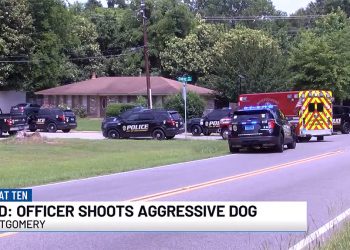 몽고메리 경찰, 공격적이라고 신고된 개에 총격