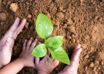 LA 카운티 학교를 녹화하는 역사적인 프로젝트