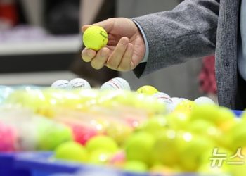 ‘연습스윙으로 착각’ 동반자가 친 골프공에 머리 맞아 숨져