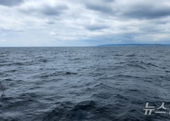 ‘영일만 석유’ 팩트체크 벼르는 野…제2 부산 엑스포 될라