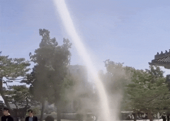 [단독] “경복궁서 용이 승천?”…원 그리며 하늘로 솟구친 회오리바람[영상]